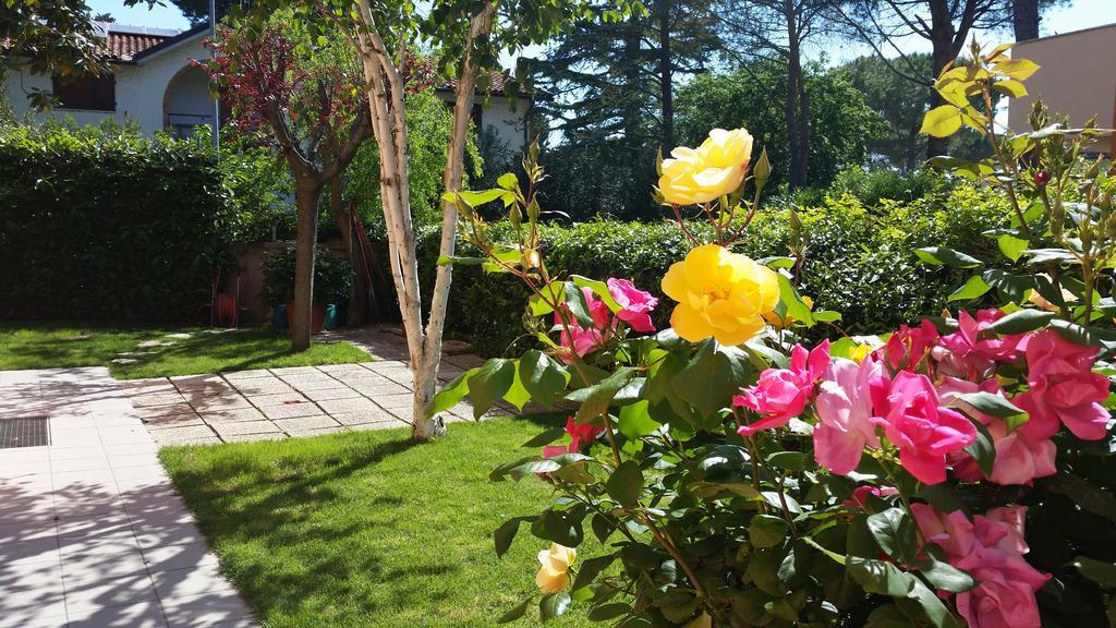 A Due Passi Dal Mare B&B นูมานา ภายนอก รูปภาพ